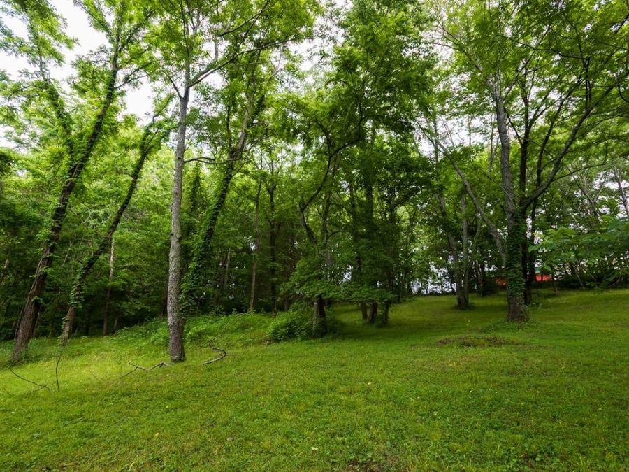 Property Image 51