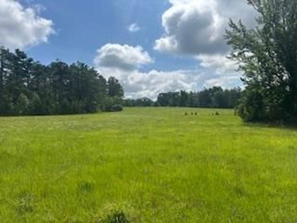 858 Hwy 331, Paris, MS 38949