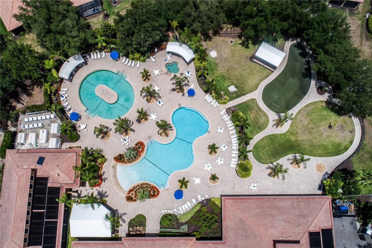 312 Seneca Falls Drive, Apollo Beach, FL 33572 Photo