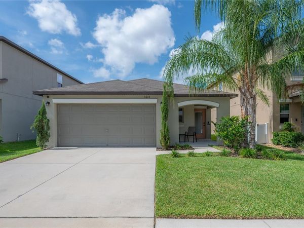 3615 CAT MINT STREET , TAMPA, FL 33619