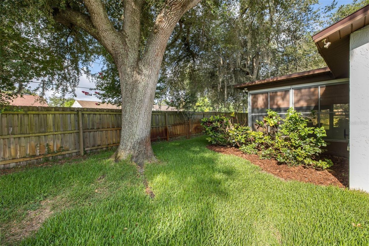8240 Winding Wood Drive, Port Richey, FL 34668 Photo
