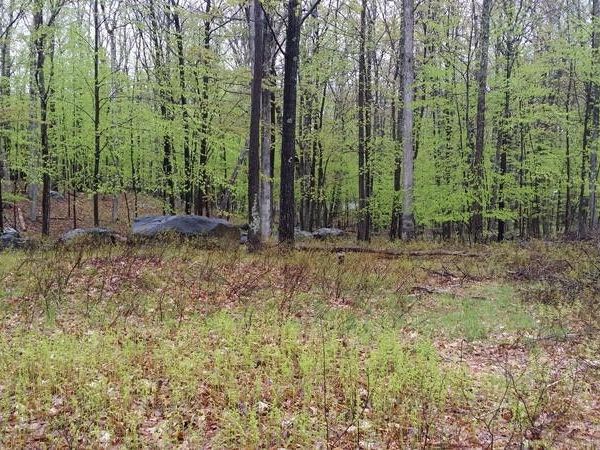 6218 Oneida Way , Milford, PA 18337