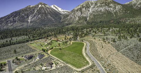 301 Five Creek Road, Gardnerville, NV 89460 Photo