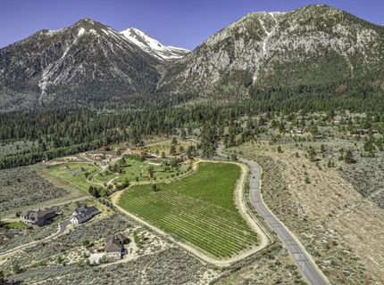 301 Five Creek Road, Gardnerville, NV 89460 Photo