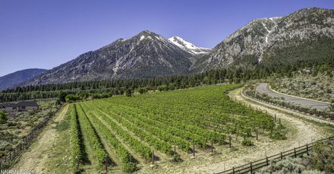301 Five Creek Road, Gardnerville, NV 89460 Photo