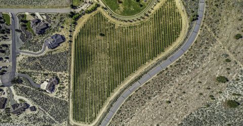 301 Five Creek Road, Gardnerville, NV 89460 Photo