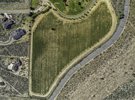 301 Five Creek Road, Gardnerville, NV 89460 Photo