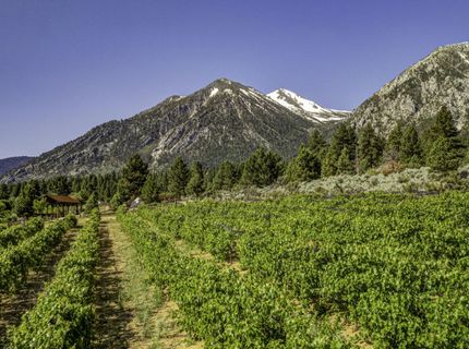 301 Five Creek Road, Gardnerville, NV 89460 Photo