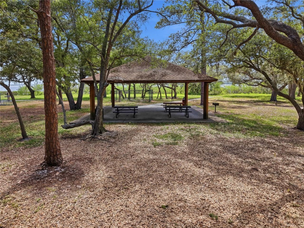 732 Shore Drive E, Oldsmar, FL 34677 Photo