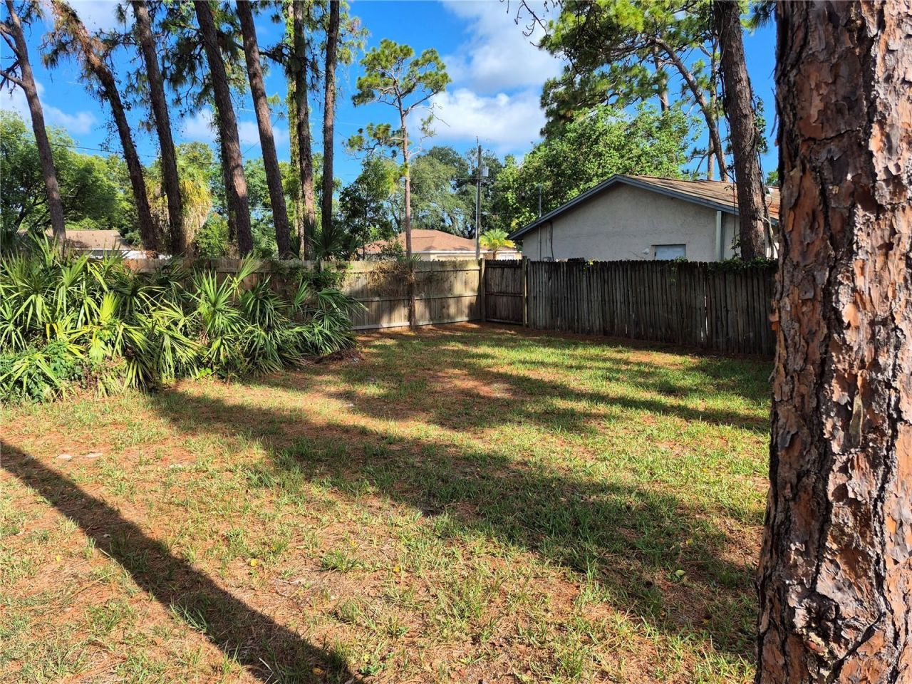6616 Hone Street, New Port Richey, FL 34653 Photo