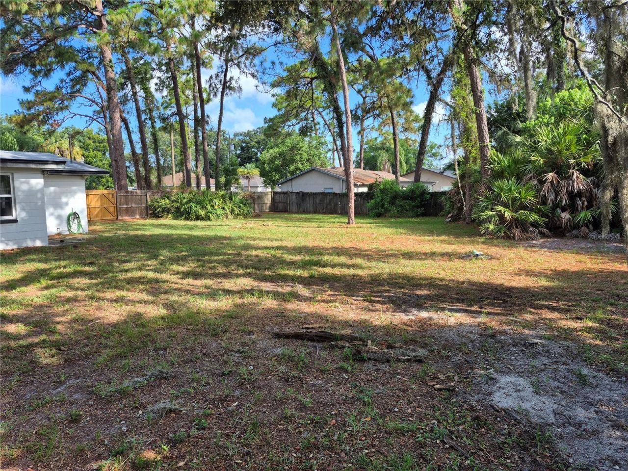 6616 Hone Street, New Port Richey, FL 34653 Photo
