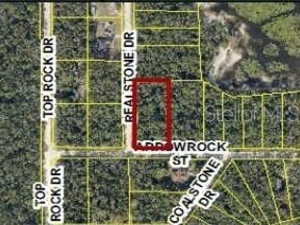 9028 REALSTONE DRIVE , WEBSTER, FL 33597