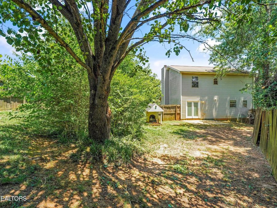 Property Image 34