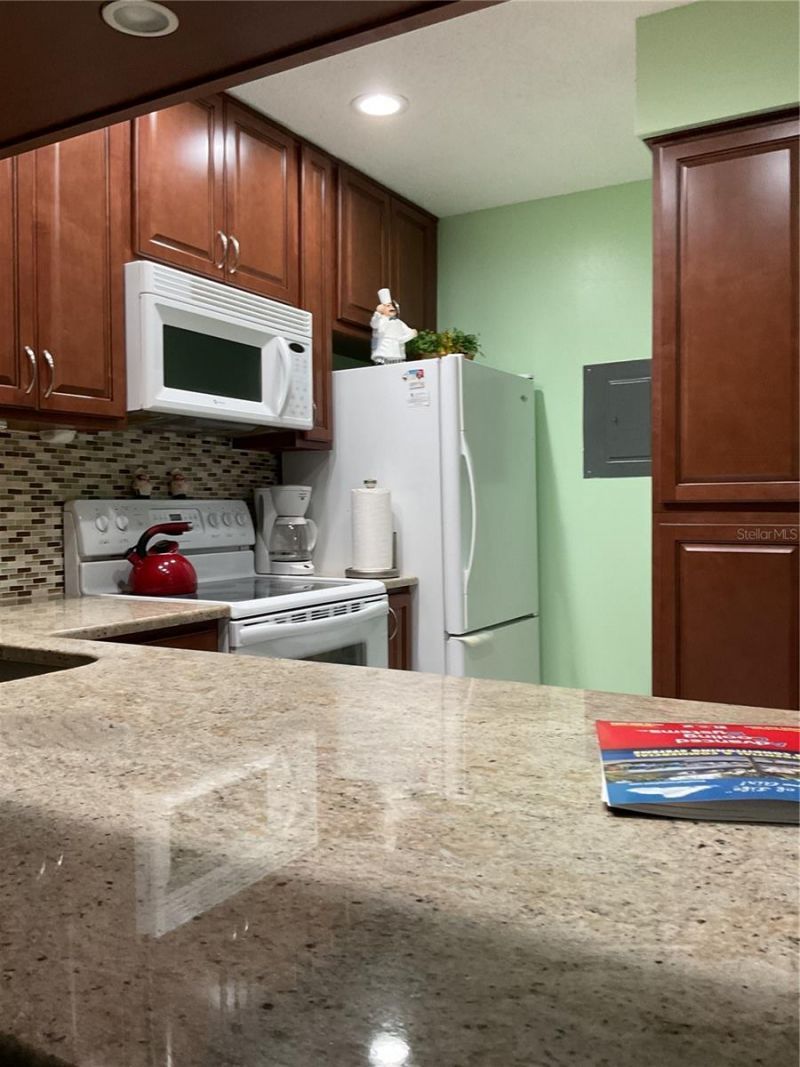2655 Pine Ridge Way N, Unit D3, Palm Harbor, FL 34684 Photo