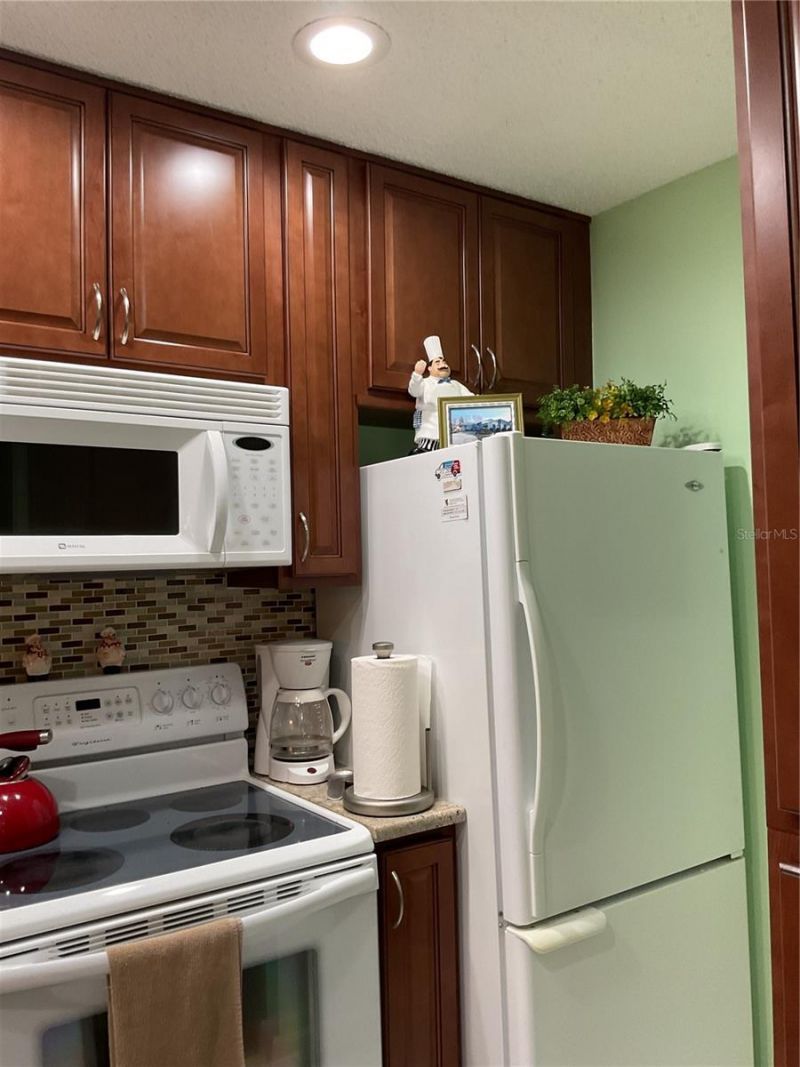 2655 Pine Ridge Way N, Unit D3, Palm Harbor, FL 34684 Photo