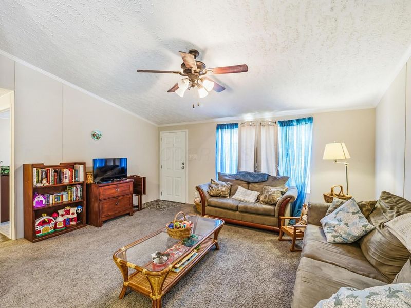 22 Birch Row Drive Drive, Delaware, OH 43015 Photo 9