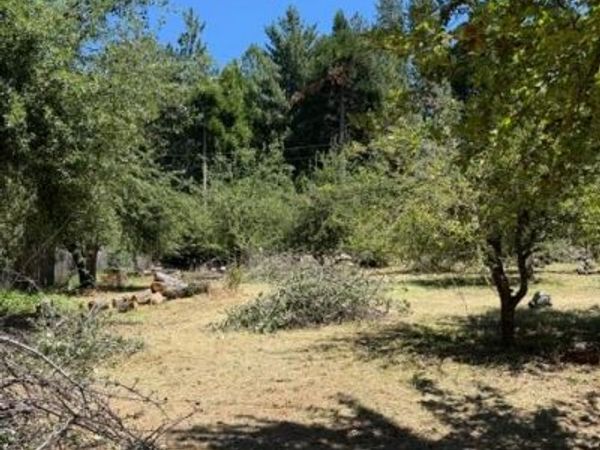 1869 Hwy 4, Arnold, CA 95223