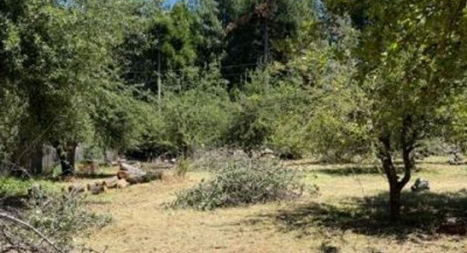 1869 Hwy 4, Arnold, CA 95223 Photo