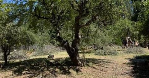 1869 Hwy 4, Arnold, CA 95223 Photo