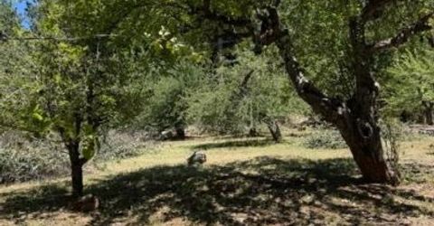 1869 Hwy 4, Arnold, CA 95223 Photo