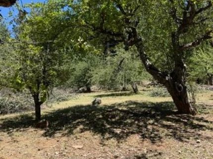 1869 Hwy 4, Arnold, CA 95223 Photo