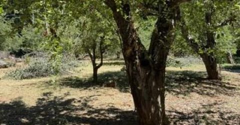 1869 Hwy 4, Arnold, CA 95223 Photo