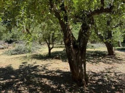 1869 Hwy 4, Arnold, CA 95223 Photo