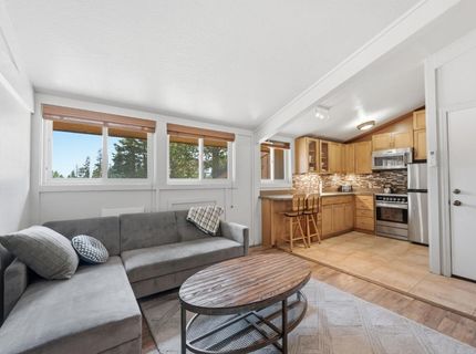 100 Creekside Dr #54, Unit 54, Bear Valley, CA 95223 Photo