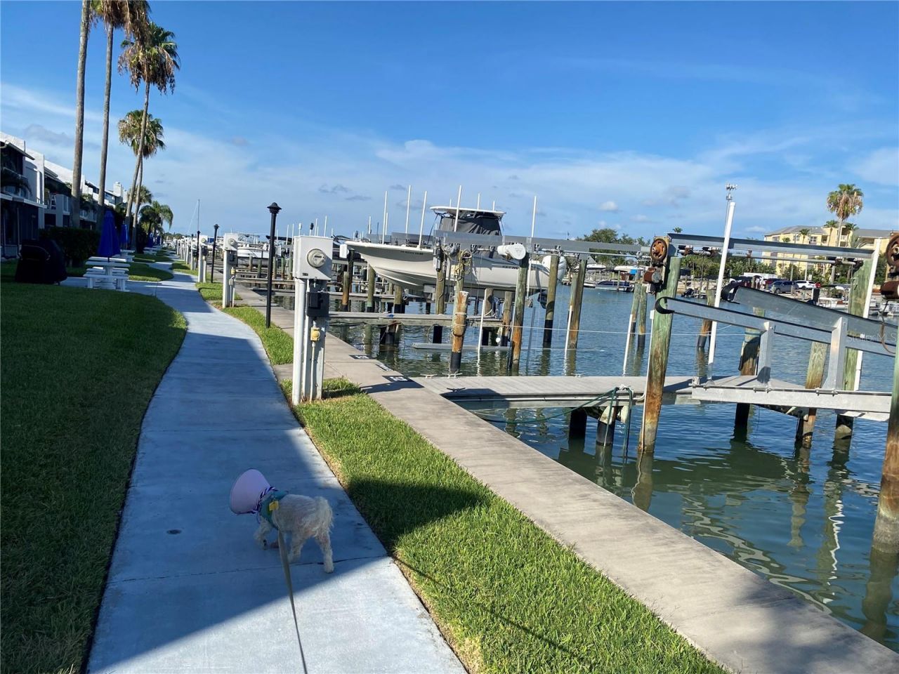 230 Medallion Boulevard, Unit D, Madeira Beach, FL 33708 Photo