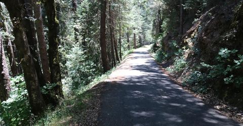 615 Main St, Downieville, CA 95936 Photo