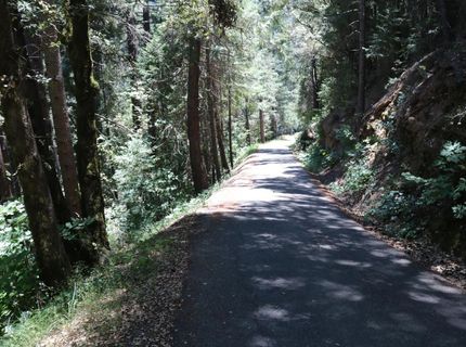 615 Main St, Downieville, CA 95936 Photo