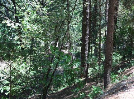 615 Main St, Downieville, CA 95936 Photo