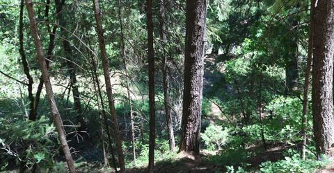 615 Main St, Downieville, CA 95936 Photo