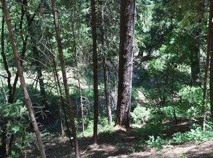 615 Main St, Downieville, CA 95936 Photo