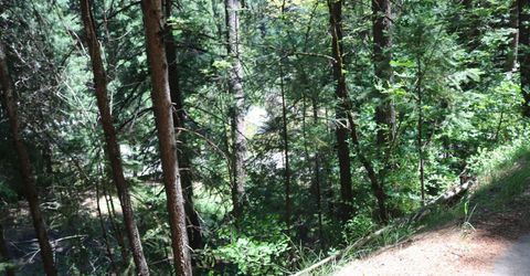 615 Main St, Downieville, CA 95936 Photo