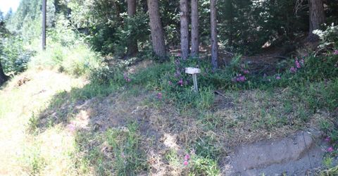 615 Main St, Downieville, CA 95936 Photo