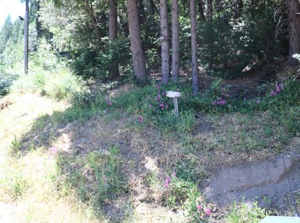 615 Main St, Downieville, CA 95936 Photo