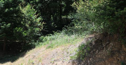 615 Main St, Downieville, CA 95936 Photo