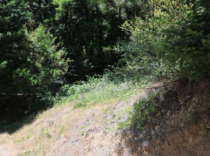 615 Main St, Downieville, CA 95936 Photo
