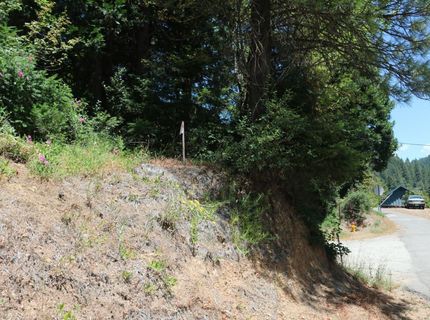 615 Main St, Downieville, CA 95936 Photo