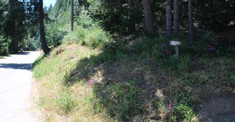 615 Main St, Downieville, CA 95936 Photo