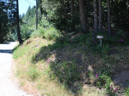 615 Main St, Downieville, CA 95936 Photo