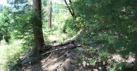 615 Main St, Downieville, CA 95936 Photo