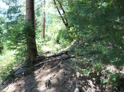 615 Main St, Downieville, CA 95936 Photo