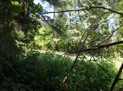 615 Main St, Downieville, CA 95936 Photo
