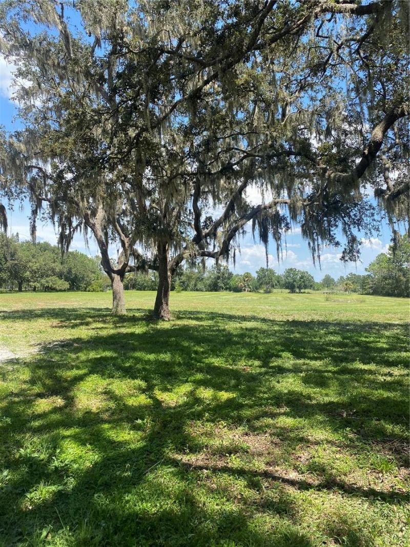 7505 274th Street E, Myakka City, FL 34251 Photo