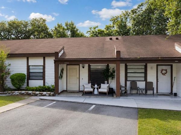10344 COUNCILS WAY , TAMPA, FL 33617