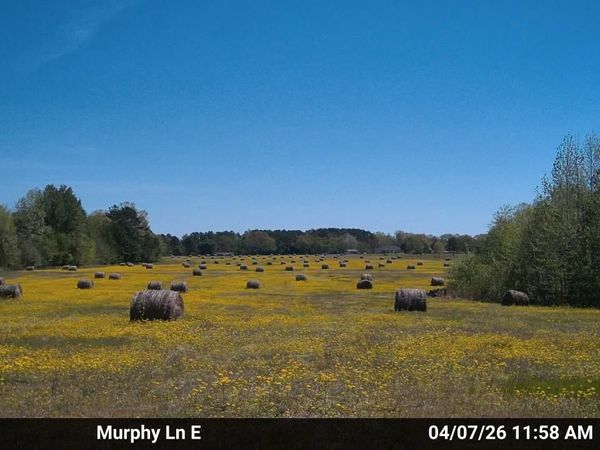 980 MURPHY LN, Whiteville, TN 38075
