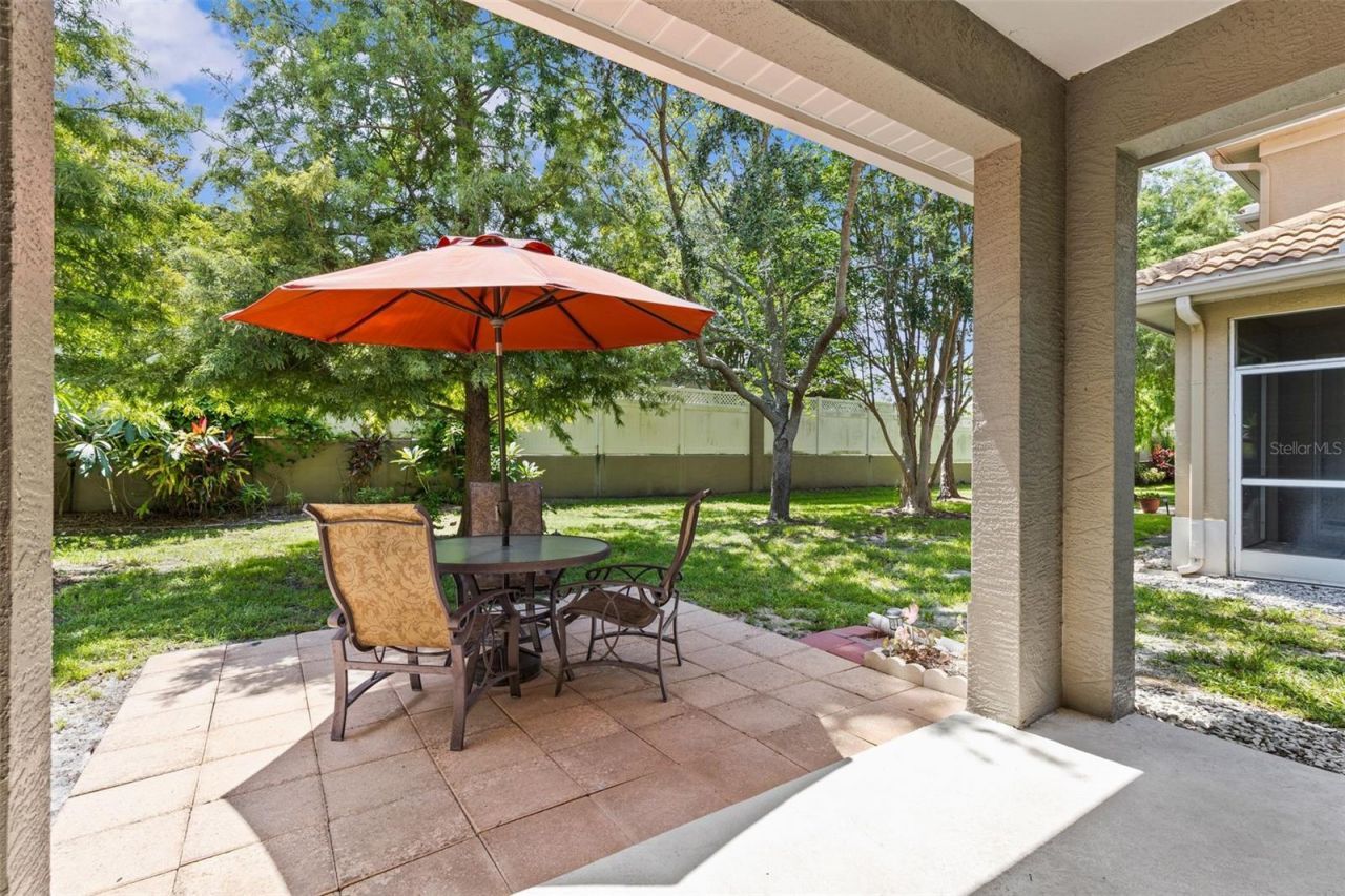 3350 Covered Bridge Drive W, Dunedin, FL 34698 Photo