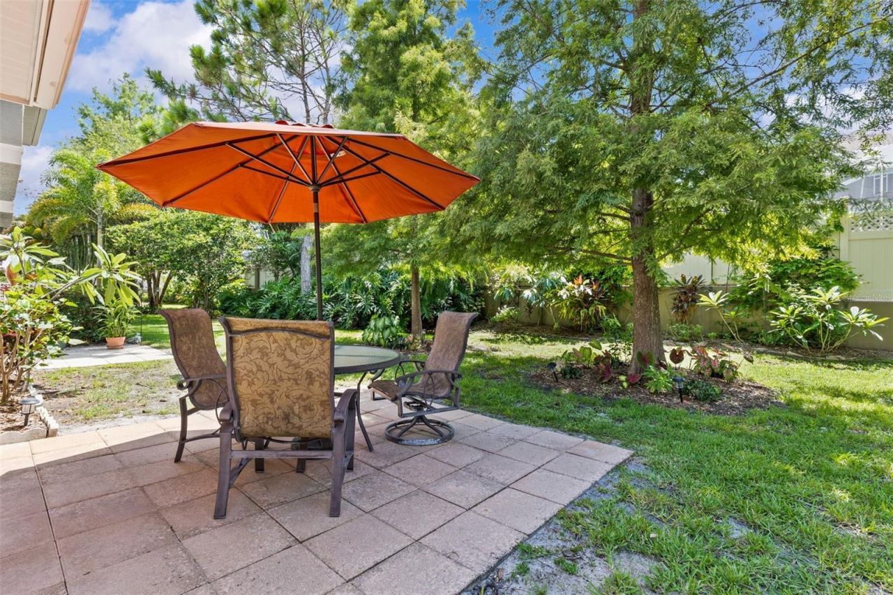 3350 Covered Bridge Drive W, Dunedin, FL 34698 Photo